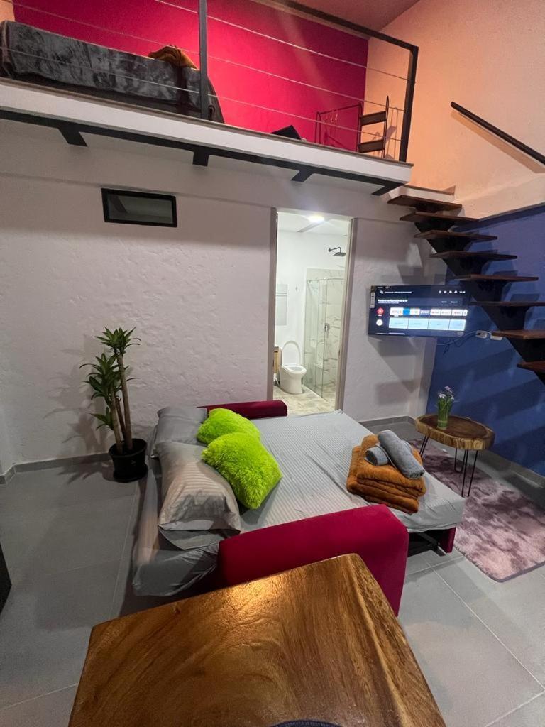 Apartaestudios Las Astromelias 살렌토 외부 사진